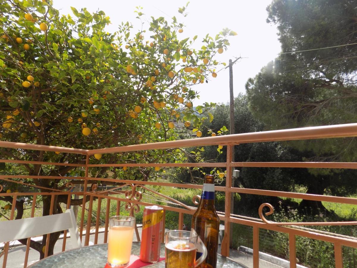 Afrodite Spacious Apartments! Agia Efimia 외부 사진